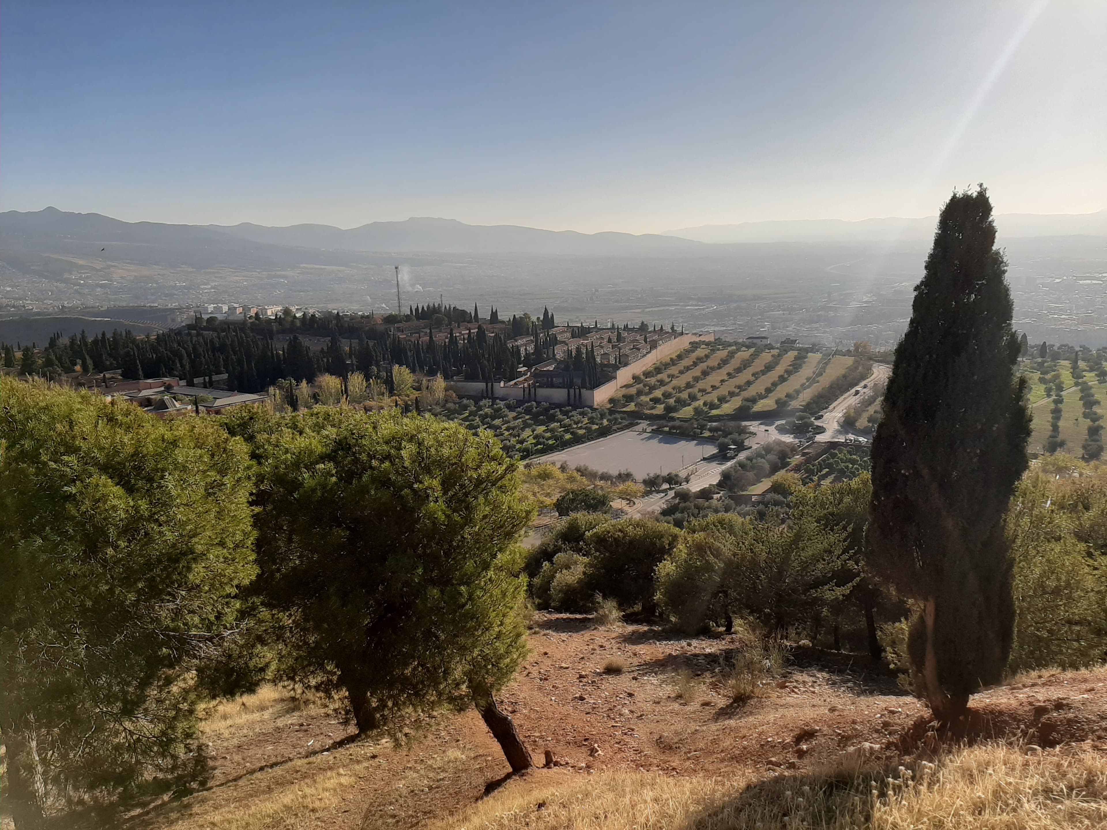 Granada Jardines Posibles - Evolución del Verde Urbano