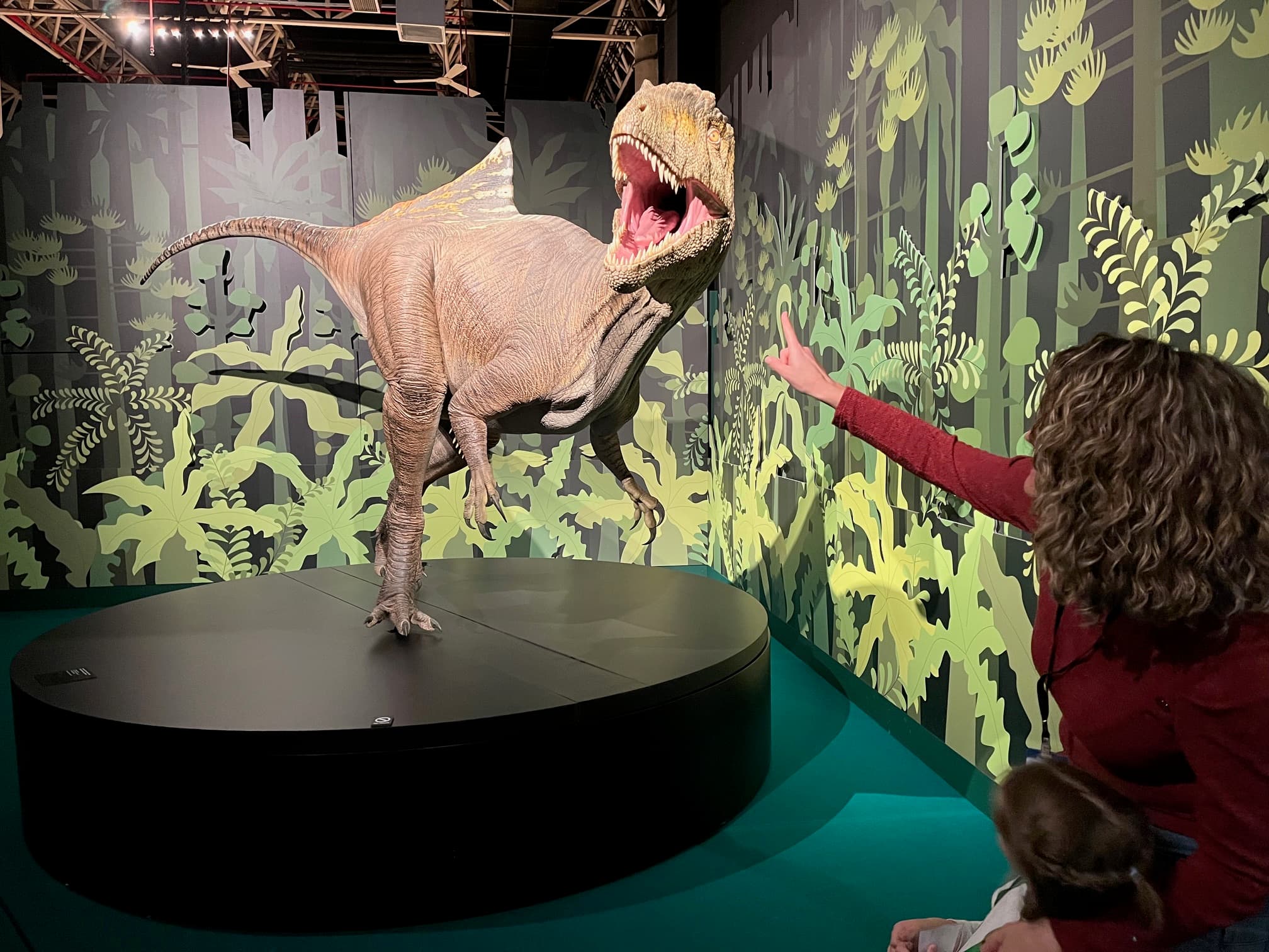 Cazadores de Dragones