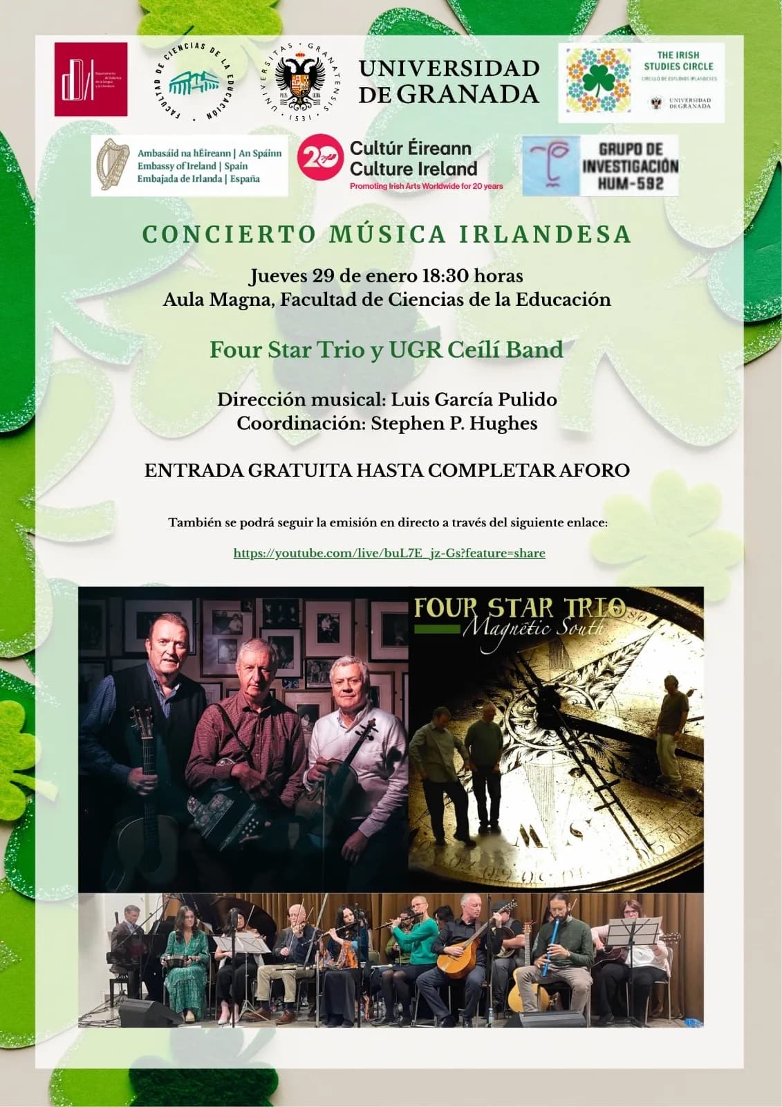 Concierto de Música Irlandesa 29/01