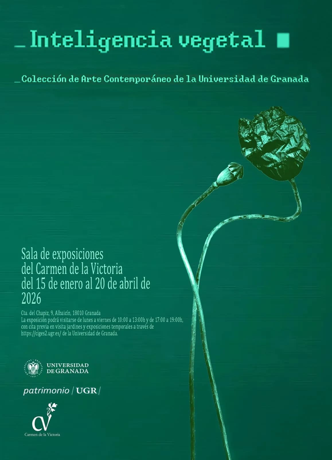 Inteligencia Vegetal