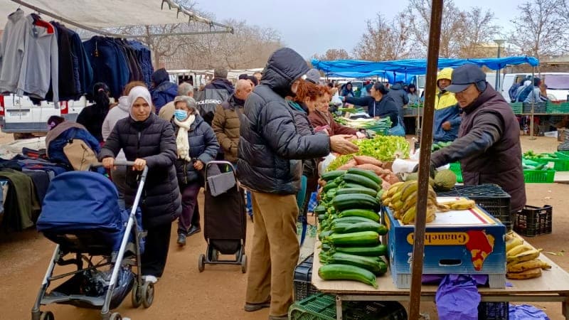 Mercadillo del Zaidín