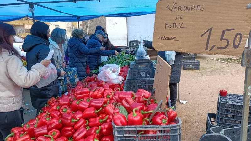 Mercadillo de Almanjayar