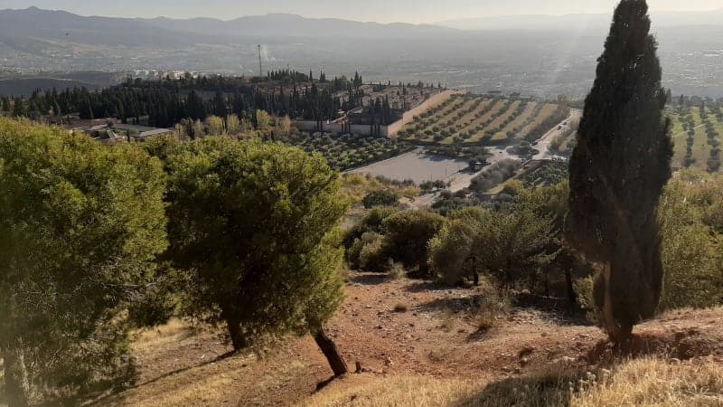 Granada Jardines Posibles - Evolución del Verde Urbano
