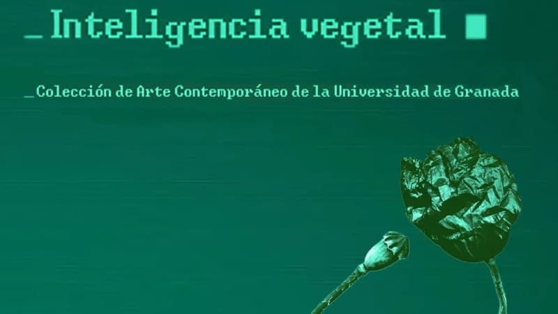 Inteligencia Vegetal