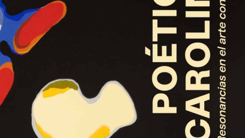 Poéticas Carolinas. Resonancias en el Arte Contemporáneo