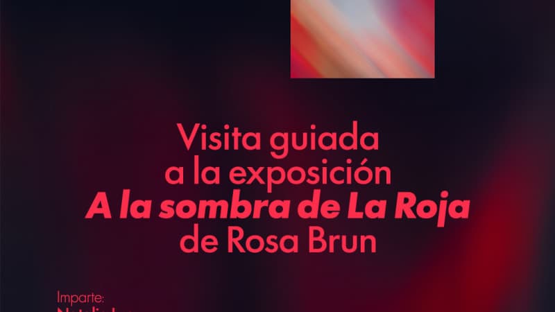 Visita Guiada: A la Sombra de La Roja (Rosa Brun)